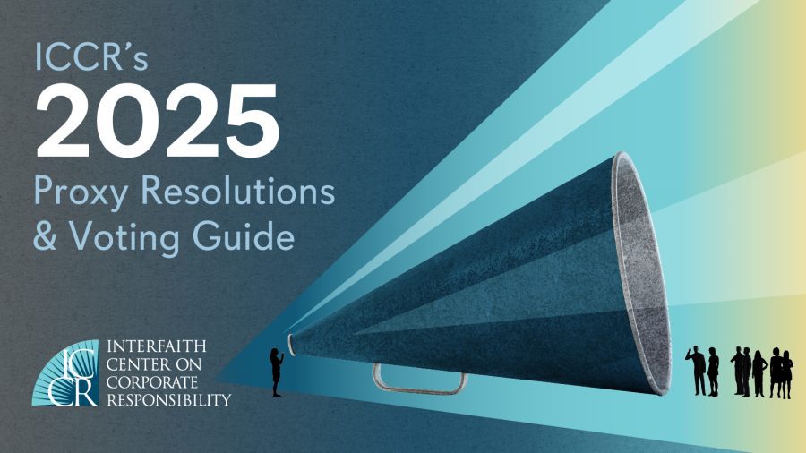 The cover of the 2025 Proxy Book